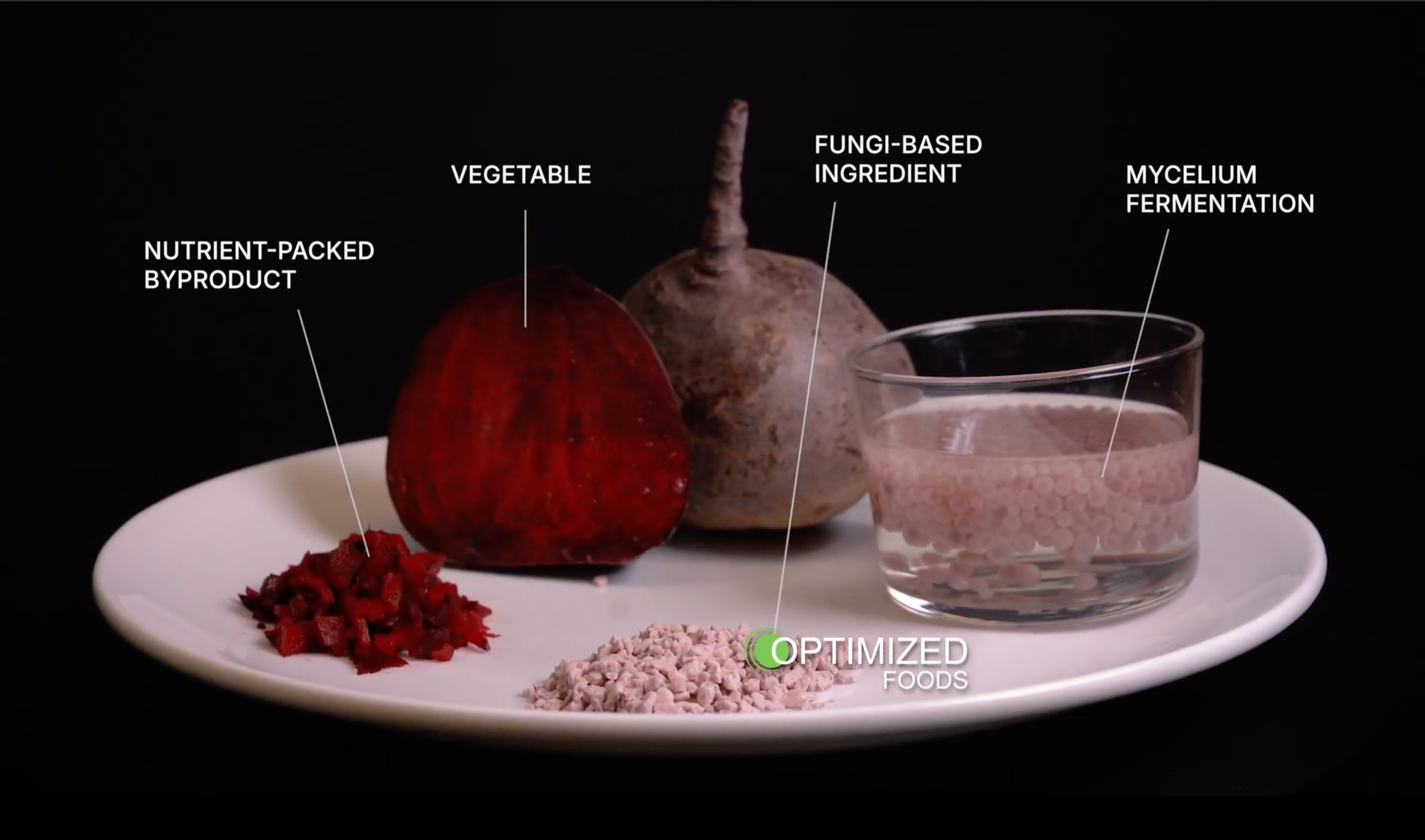 Optimized Foods | Enabling the Power of Biology